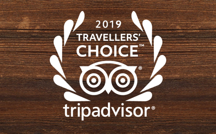  TripAdvisor Travellers Choice Award